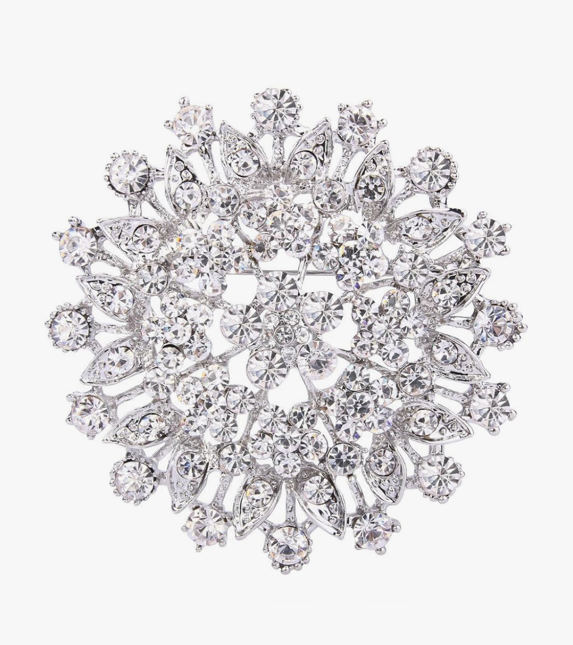Pin/ brooch