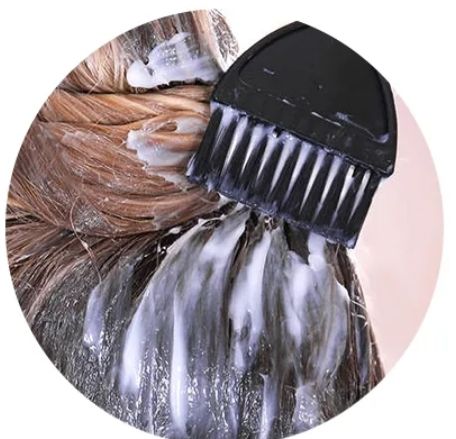 Hair Dye Brushes