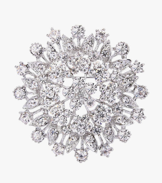 Pin/ brooch